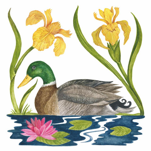 Themes - Animals / Birds - Geese/Ducks