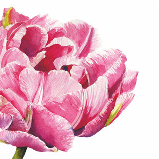 Pink Parrot Tulip Lunch Napkins