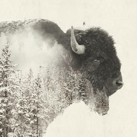 Majestic Buffalo lunch napkin