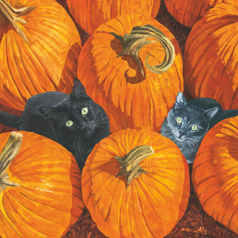 Pumpkin Patch Cats