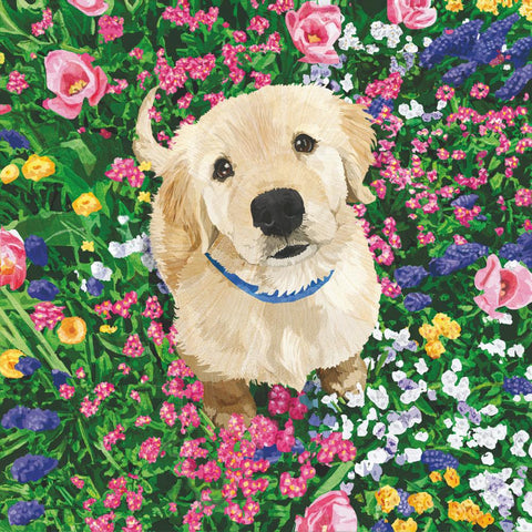 Garden Friends