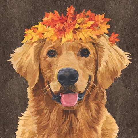 Themes - Animals / Birds - Dogs