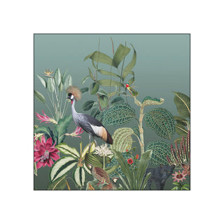 Amazonas • Beverage Napkins