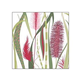 Autumn Pampas • Beverage Napkins