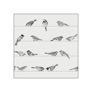 Birds • Beverage Napkins