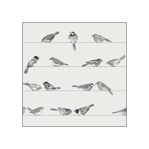 Birds • Beverage Napkins