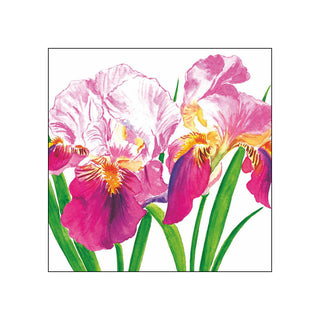 Sweet Iris • Beverage Napkins