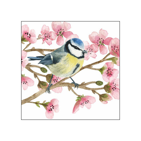 Oiseau Printemps • Beverage Napkins