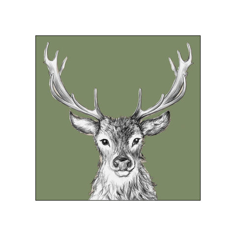 Paul, green • Beverage Napkins