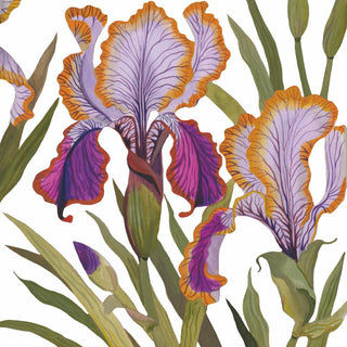 Dominique • Beverage Napkin