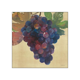 Wine Country Red • Beverage Napkins
