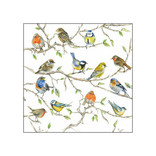 Birds Meeting • Beverage Napkins
