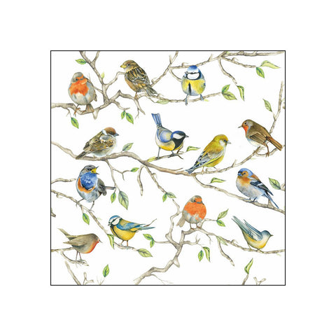 Birds Meeting • Beverage Napkins