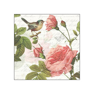 Sophie (AMB) • Beverage Napkins