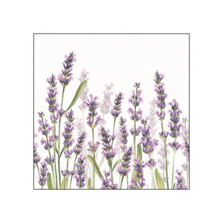 Lavender Shades, white • Beverage Napkins