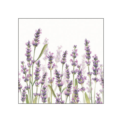 Lavender Shades, white • Beverage Napkins