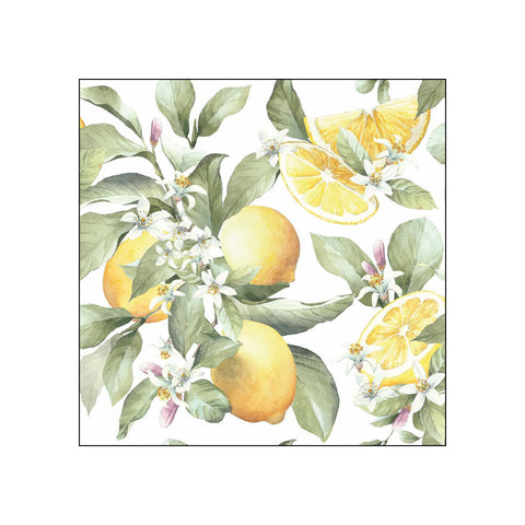 Limoni • Beverage Napkins