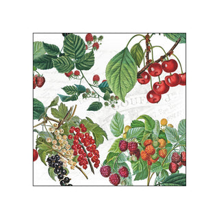 Fresh Fruits • Beverage Napkins