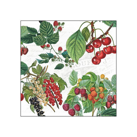 Fresh Fruits • Beverage Napkins
