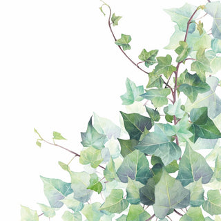 Hedera, white • Beverage Napkins