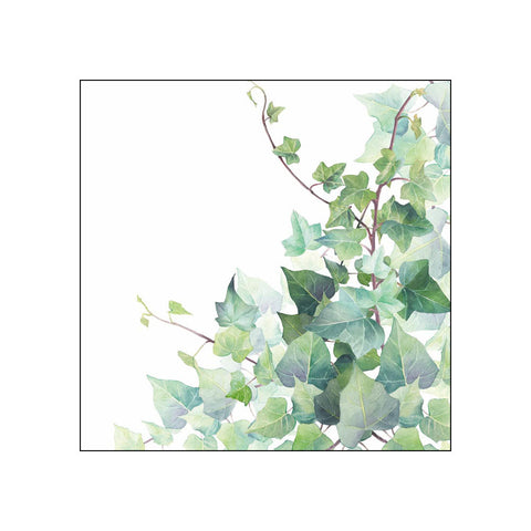 Hedera, white • Beverage Napkins