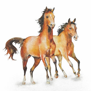 Wild Horses • Beverage Napkins
