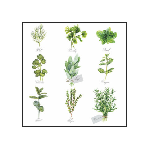 Herb Selection • Beverage Napkins