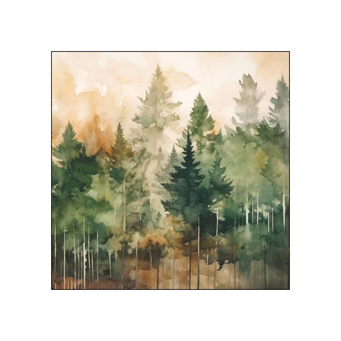 Evergreen Trees • Beverage Napkins