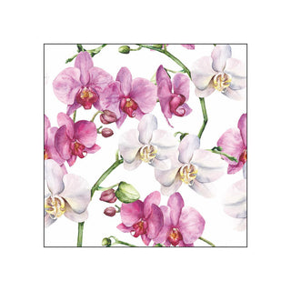 Elegant Orchids, white • Beverage Napkins