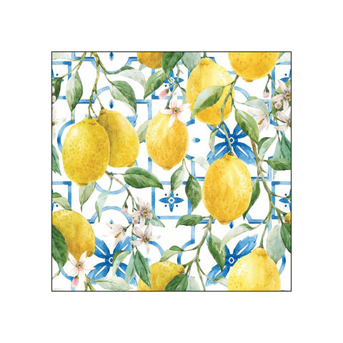 Mediterranean Lemons • Beverage Napkins