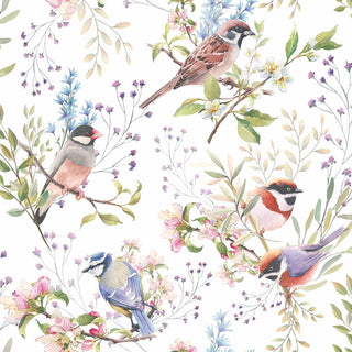 Busy Birds • Beverage Napkin