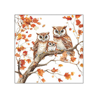 Family of Owls • Beverage Napkins