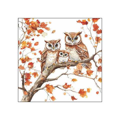 Family of Owls • Beverage Napkins