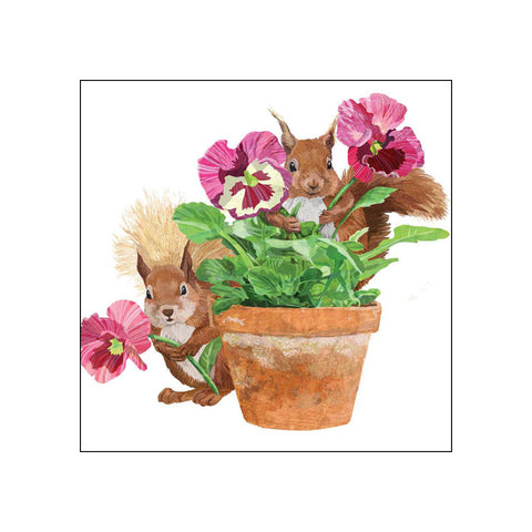 Flower Pot Squirrels • Beverage Napkins