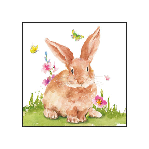 Mr. Rabbit