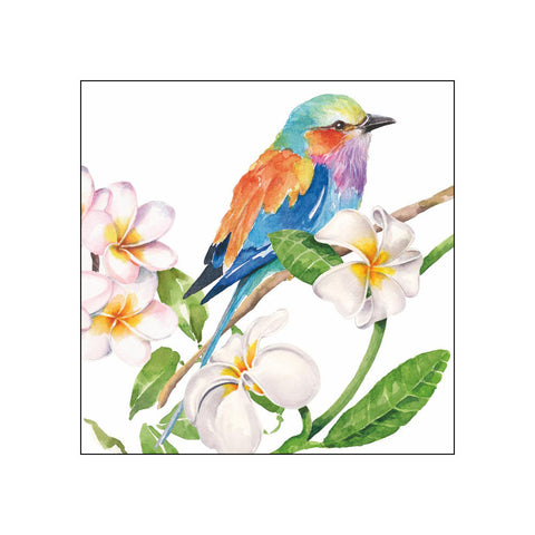 Sri Lanka • Beverage Napkins