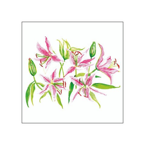 Stargazer Lillies • Beverage Napkins