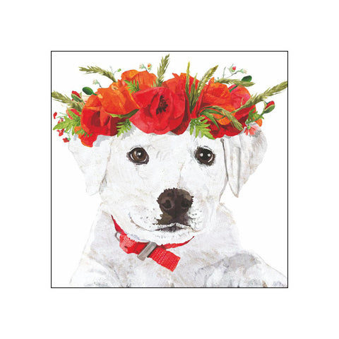 Enzo's Spring • Beverage Napkins