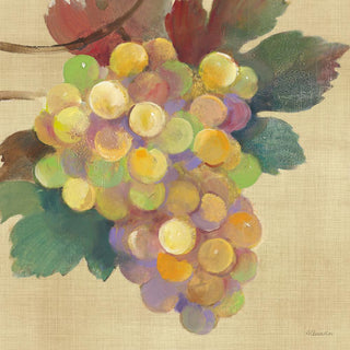 Wine Country White • Lunch Napkins