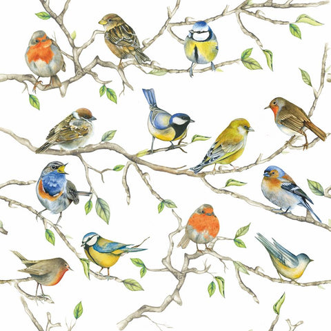 Birds Meeting • Lunch Napkins