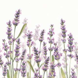 Lavender Shades, white • Lunch Napkins