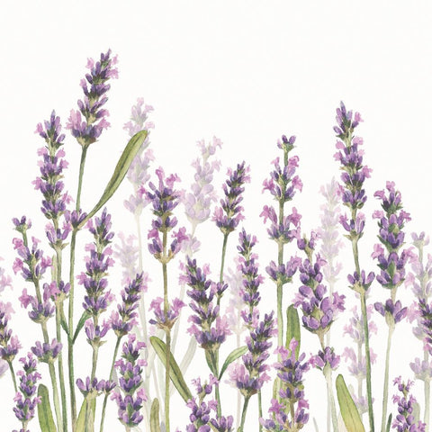 Lavender Shades, white • Lunch Napkins