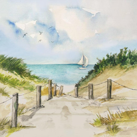 Dune Path • Lunch Napkins