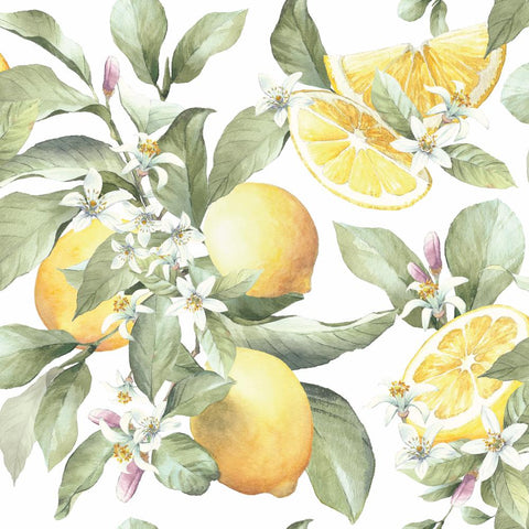Limoni • Lunch Napkins