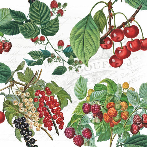 Fresh Fruits • Lunch Napkins