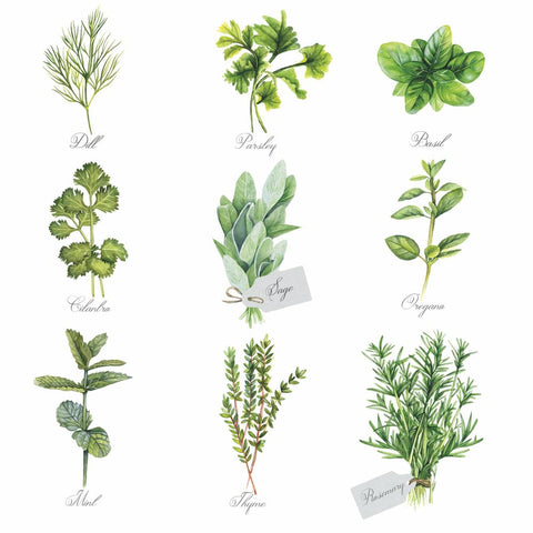 Herb Selection • Lunch Napkins