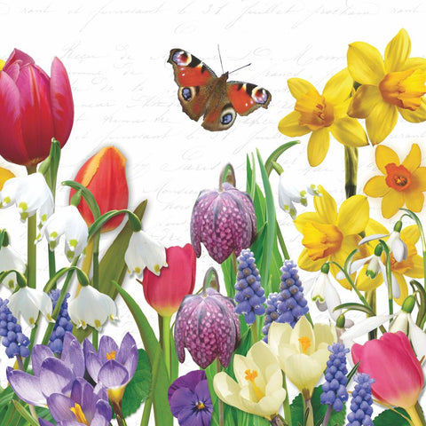 Spring Feeling • Lunch Napkins