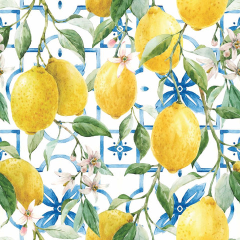 Mediterranean Lemons • Lunch Napkins