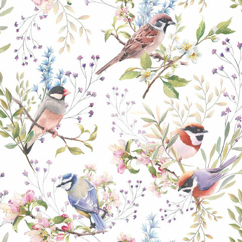 Busy Birds • Lunch Napkin