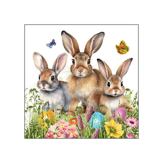 Easter Hello • Beverage Napkins